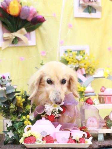 20230324ミルクちゃん